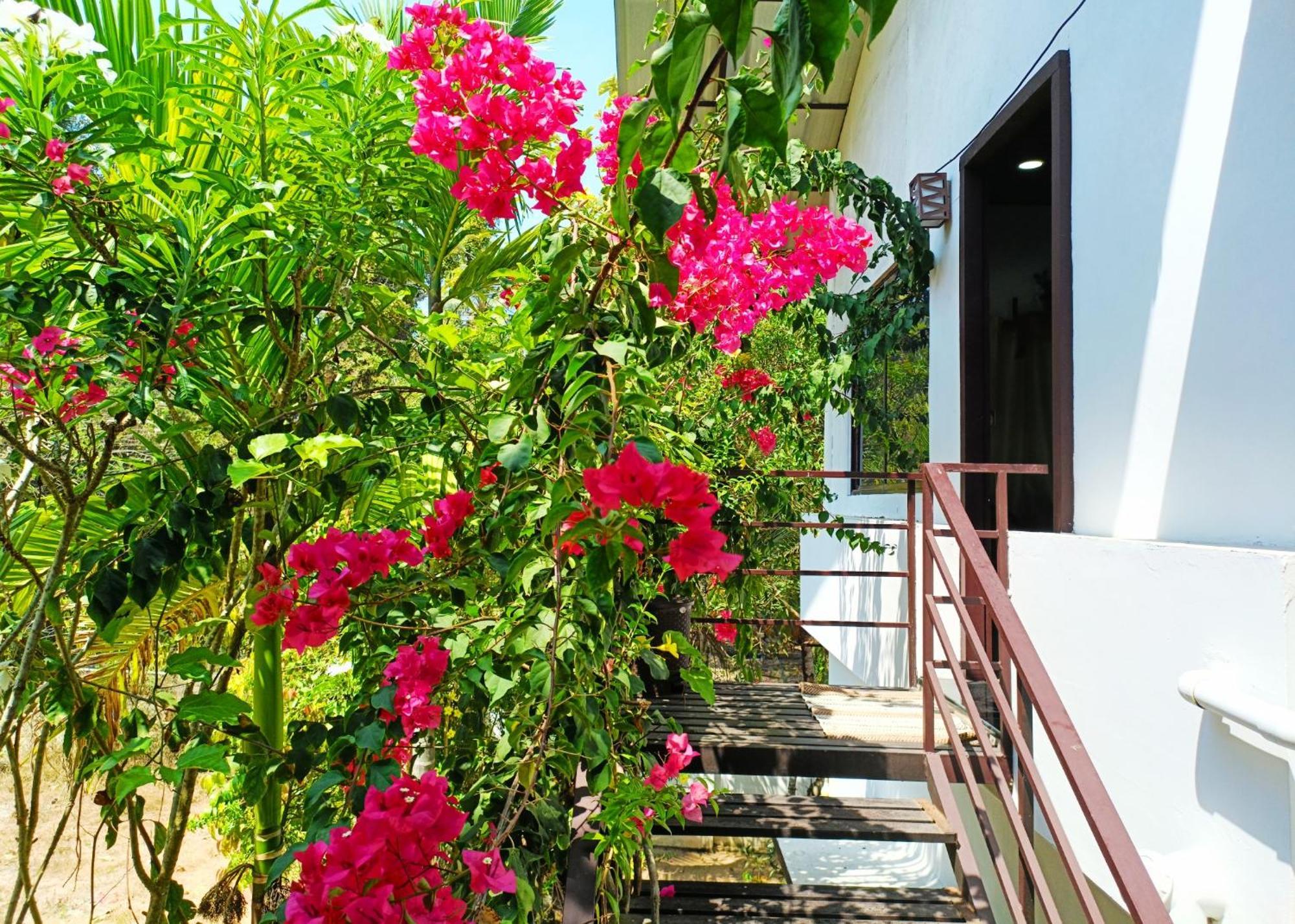 Alma Homestay Mararikulam Exterior photo